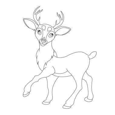 Tatlı geyik dikilip etrafa bakıyor.