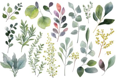 Çeşitli yeşil yapraklar ve botanik çizimler