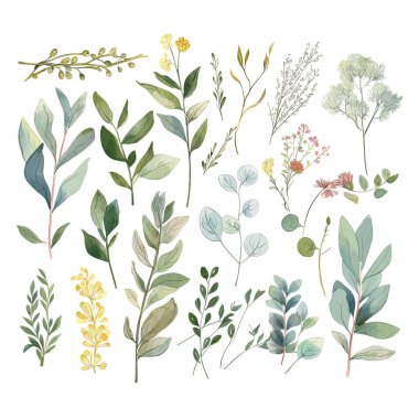 Sanatsal olarak sıralanmış çeşitli botanik yaprak ve gövde koleksiyonu