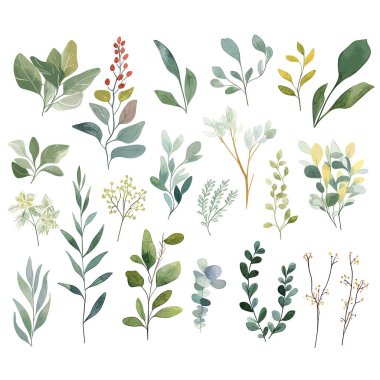 Çeşitli yeşil yapraklar ve botanik çizimler