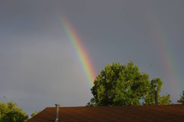 Yağmurdan sonra ağaçların ve çatıların üzerinde gökkuşağı beliriyor
