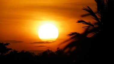 Avuç içi siluetleriyle tropikal bir arazide gün batımı