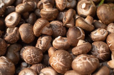 Taze kahverengi mantarlar bir araya toplanmış.