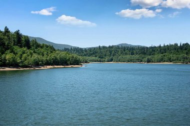 Bereketli ormanlarla çevrili sakin bir göl manzarası.