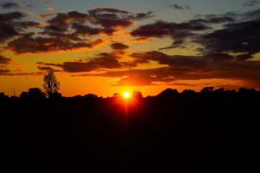 Canlı turuncu ve sarı renkli ağaçların arkasında renkli bir günbatımı.