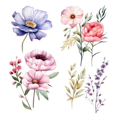 Pembe, mor ve mavi tonlarında çeşitli renkli çiçekler sergilenir.