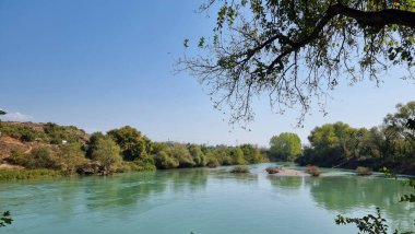 Yazın ormandaki gölün güzel manzarası.