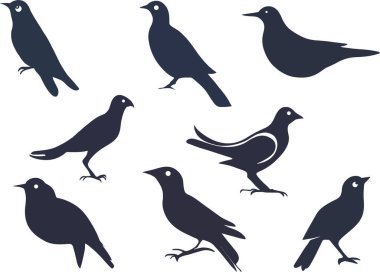 Farklı pozlardaki kuşların siluetleri ve beyaz arkaplanda yönleri