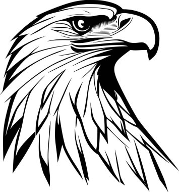 Kartalın kafasının siyah beyaz çizimi ve ileriye bakan tüyleri.