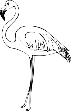 Flamingonun tek ayak üzerinde duran siyah beyaz çizimi