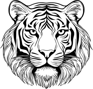 Kaplanın yüzünün detaylı yüz hatları ve ifadeleriyle siyah beyaz çizimi