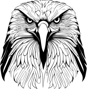 Ayrıntılı tüyleri ve yoğun bakışları olan vahşi kartalın siyah ve beyaz çizimi