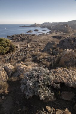 Kaya sahili ve Akdeniz 'i gösteren deniz manzarası Katalonya' da Costa Brava 'da Cap de Creus Cape' de Paratge de Tudela adlı bir yerde.