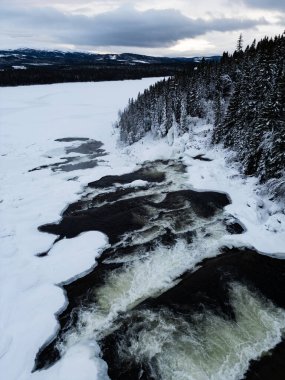 Nehir ağaçların yakınındaki karla kaplı arazide akıyor..