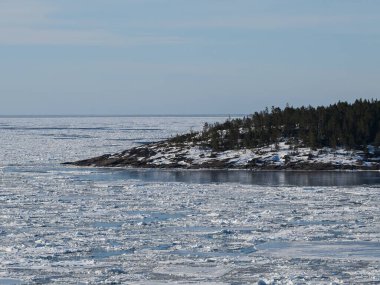 Buzlu donmuş göl ve kışın ormanlık kıyı şeridi.