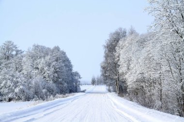Karlı yol karla kaplı ağaçlarla çevrili.