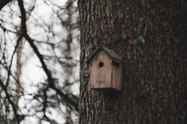 Wooden birdhouse attached to tree