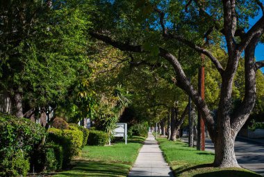 Banliyö mahallesinde ağaçlarla kaplı kaldırım