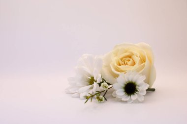 Açık arkaplanda beyaz gül ve papatyalar