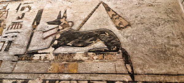 Old Egyptian hieroglyphs on an ancient background. Wide historical background. Ancient Egyptian hieroglyphs as a symbol of the history of the Earth.