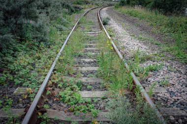Eski tren raylarının üzerinde yabani otlar büyüyor.