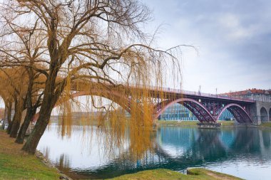 Güzel Sloven manzara. Maribor eski köprü. Kentsel panorama.