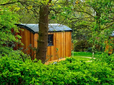 Kamp kulübeleri ormandaki ahşap tatil kulübelerini süslüyor.