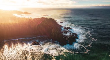 Pasifik Okyanusu 'ndaki Rocky Coast, Vancouver Adası, BC, Kanada. Doğa Arkaplanı.