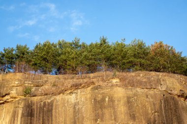 Mavi gökyüzünün altında, kayalık bir uçurumun tepesinde büyüyen ağaçlar..