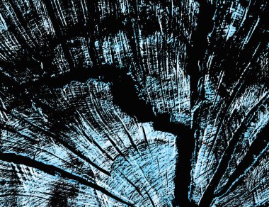 Abstract closeup of tree rings showing detailed textures