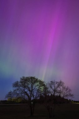 Gece gökyüzünü dolduran çarpıcı pembe, mor ve yeşil ışık huzmeleriyle Aurora Borealisora Borealis.