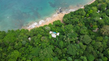 Bereketli yeşil orman plajının havadan görünüşü