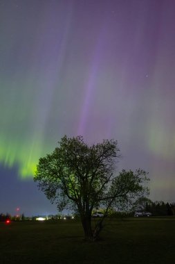 Unutulmaz zümrüt ve safir manzarası ormanın siyah siluetlerinin üzerinde sergilenir..