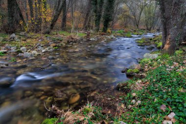 Garganta de Pedro Chate. Jaraiz de la Vera yakınlarındaki manzara. Caceres. Extremadura. İspanya.