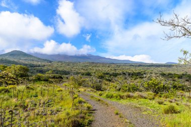 Dağların ve yemyeşil yeşilliğin yer aldığı manzara manzarası.