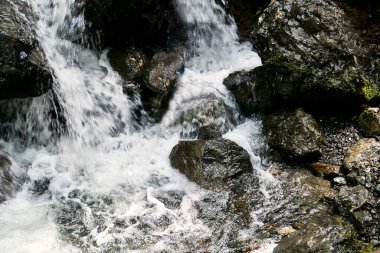 Su, doğada kayalık bir yüzey üzerinde çağlayarak akıyor..