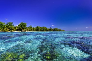 Bora Bora 'nın İnanılmaz Renkleri