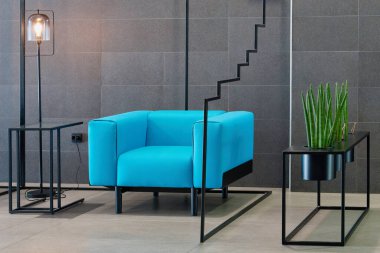 Modern mavi sandalye siyah mobilya bitkilerinin yanında