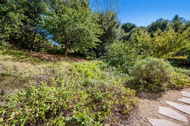 Mavi gökyüzünün altındaki taşların çevresi yemyeşil.