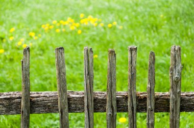 Yeşil çimlerin yanında eskimiş ahşap çitler