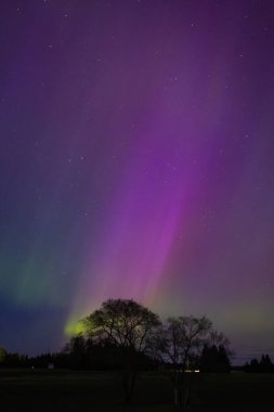 Gece gökyüzünü dolduran çarpıcı pembe, mor ve yeşil ışık huzmeleriyle Aurora Borealisora Borealis.