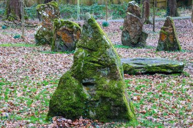 Ormanda düşen yapraklarla çevrili yosunlu taşlar.