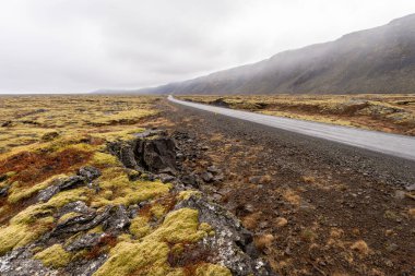 Baharda İzlanda 'da yağmur üstüne yağmur yağar