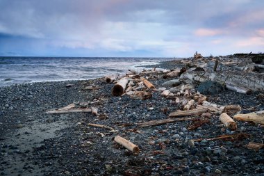Dalgalar bulutlu gökyüzünün altında kayalık sahil boyunca dağılmış.