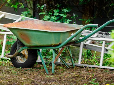 Rusty wheelbarrow sitting on ground among green plants