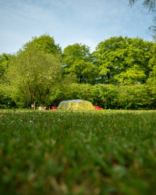 Mavi gökyüzünün altındaki yeşil çimenler