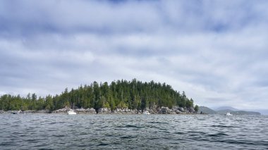 Sakin sularla çevrili küçük bir ada.