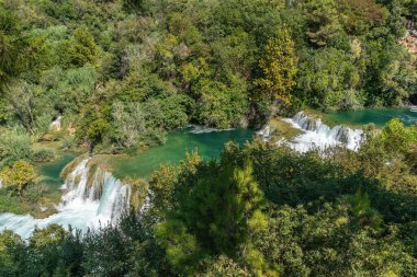 Krka River gracefully meandering through a vibrant and lush green forest in Krka National Park, Croatia