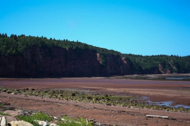 Kıyı şeridi açık mavi gökyüzünün altında