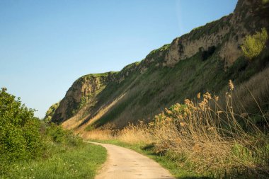 Çimenli yamaçlarda dolambaçlı yol